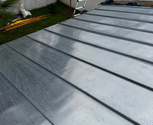 Nettoyage et démoussage de toiture à Montfermeil (93370) - Les Toitures de Jacques en Seine-Saint-Denis (93)